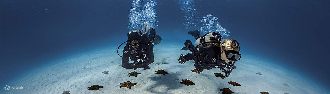 Scuba diving above starfish near the seabed