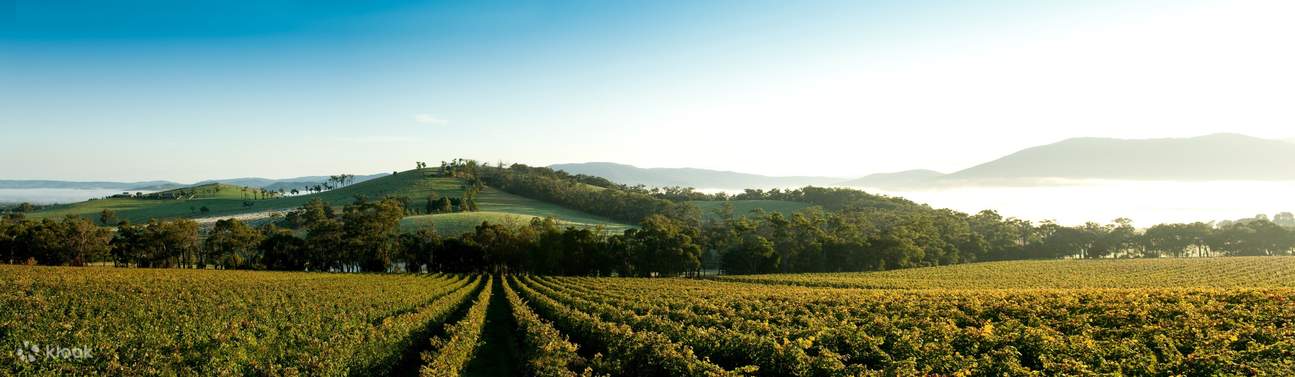 yarra valley