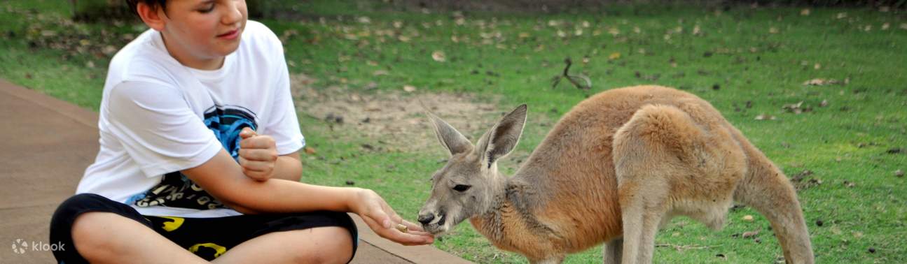 Caversham Wildlife Park Admission Ticket - Klook United Kingdom