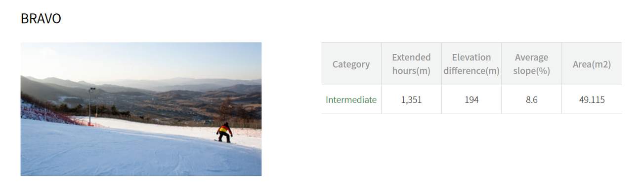 Pengajaran Ski dan Papan Salji Alpensia