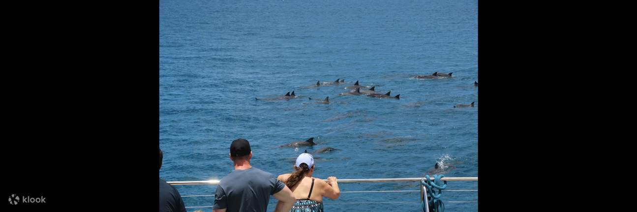Crucero al atardecer en Ko Olina con esnórquel y avistamiento de delfines