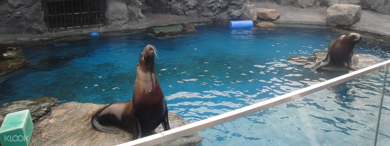 [SALE] Discounted Tickets for Boston's New England Aquarium - Ticket KD