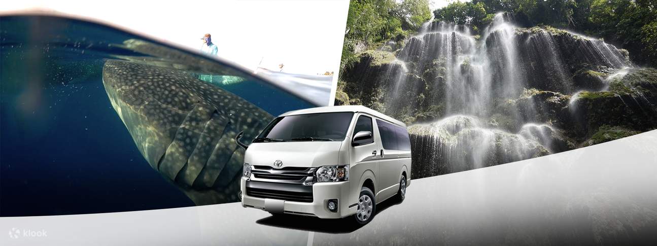 shared van transfers oslob cebu city mactan