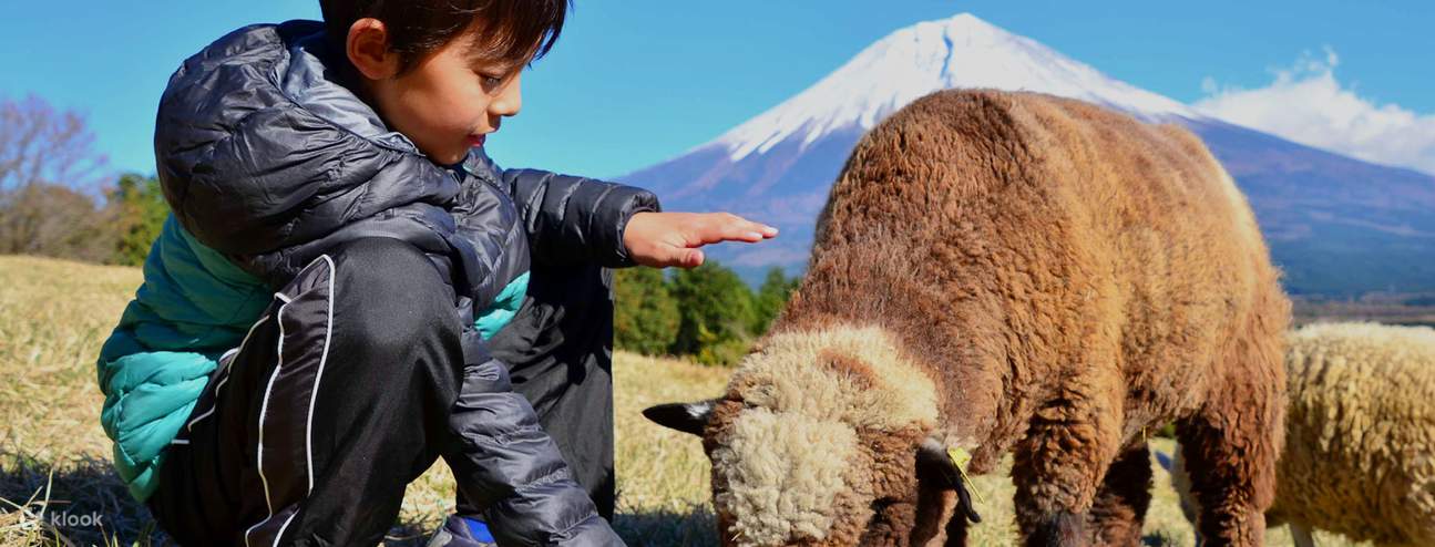 Chuyến tham quan một ngày giữa cha mẹ và con cái Mount Fuji Makaino ...