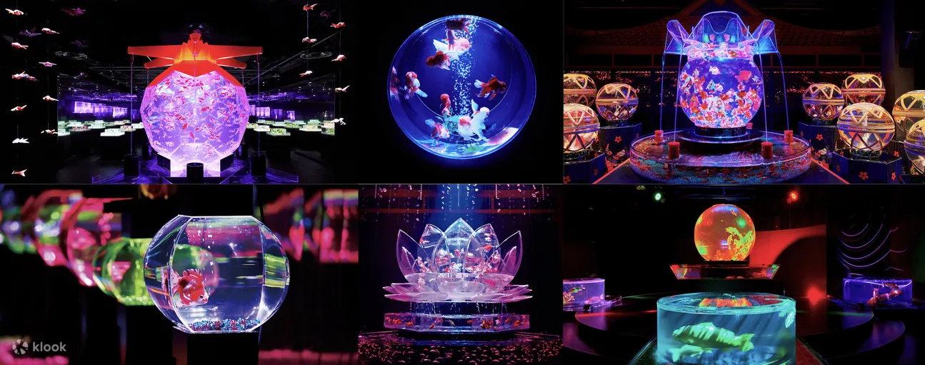 Art Aquarium(金鱼艺术展) in Taipei