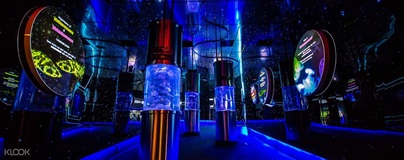 Aquaria KLCC Ticket in Kuala Lumpur Klook Malaysia