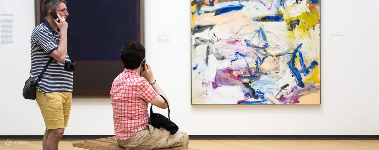 Stedelijk 博物馆展出的艺术品