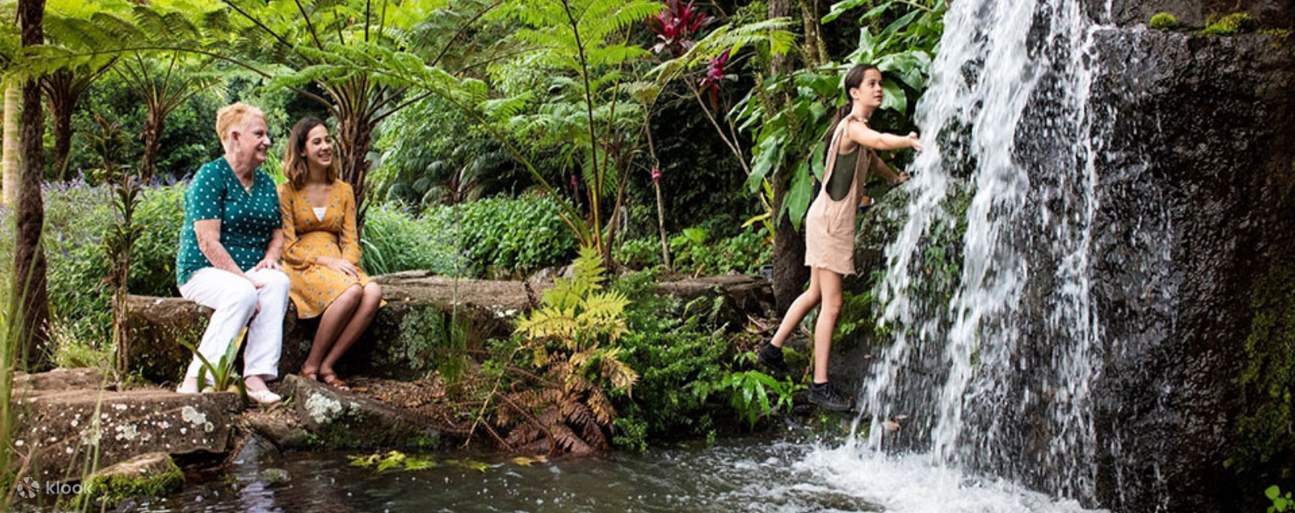 Maleny Botanic Gardens and Bird World Ticket in Sunshine Coast Klook