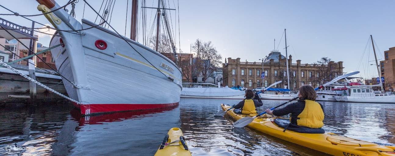 크레딧 샘 셸리