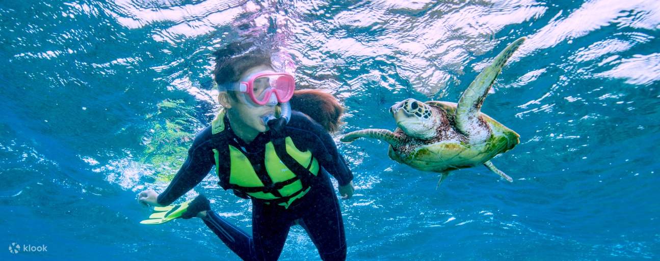 Plongée en apnée avec les tortues de mer
