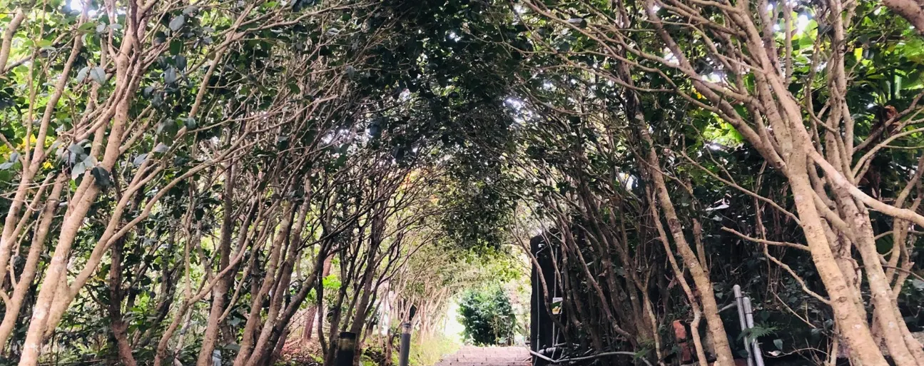 Maokong Gondola path