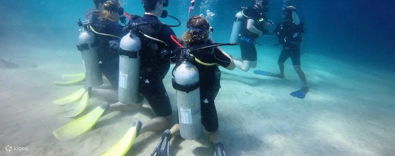 刁曼岛 PADI 潜水课程