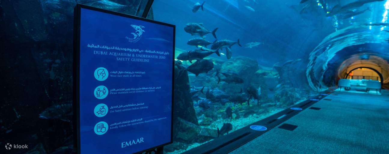 Inside of the Dubai Aquarium