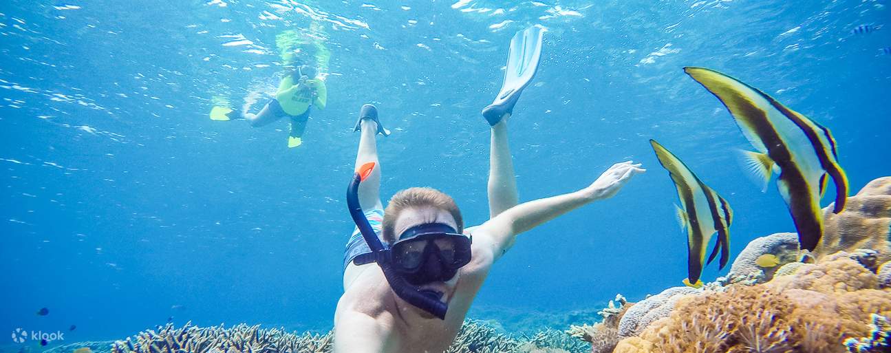 a man snorkeling near two fishes Nusa Penida Full Day Trip from Bali