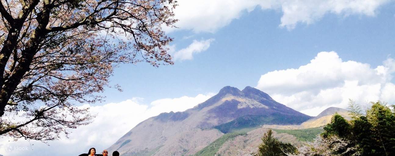 伏見での人力車体験