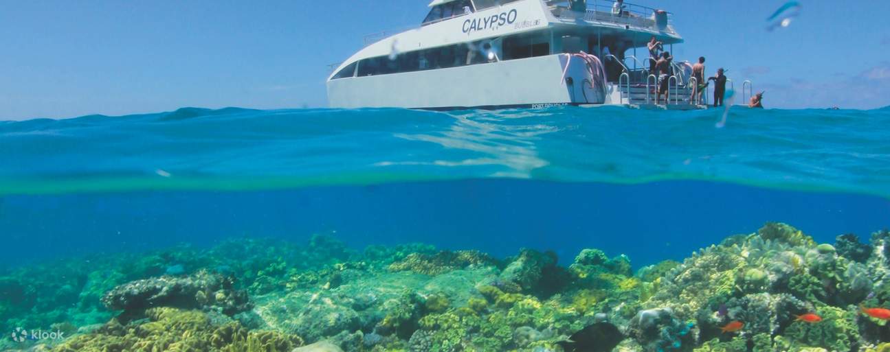 Các rạn san hô dưới nước ở Low Isles, Shire of Douglas