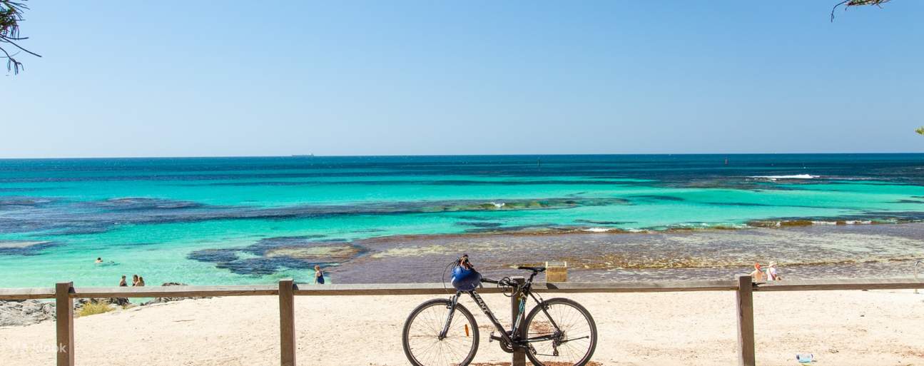 Rottnest Island Ferry Bike And Snorkel