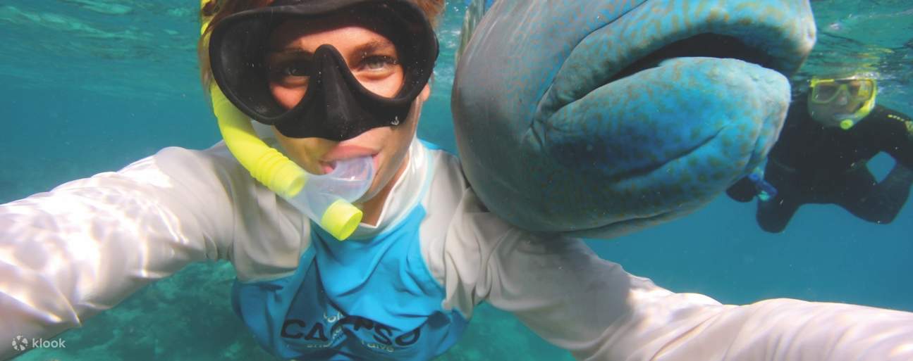 femme faisant de la plongée avec tuba avec des poissons