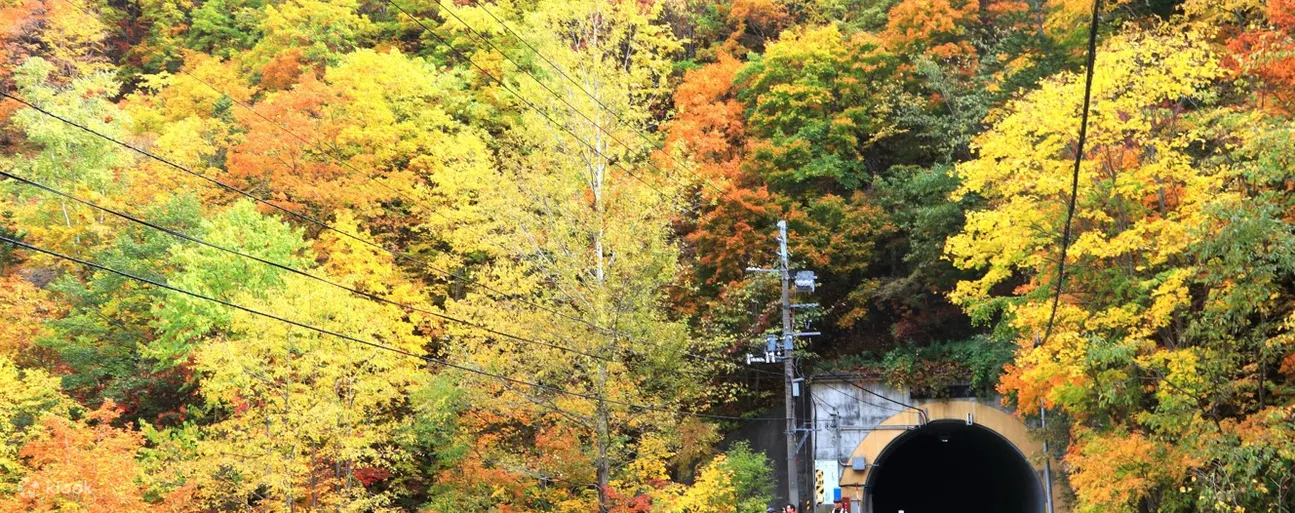 通往丰平峡大坝的隧道