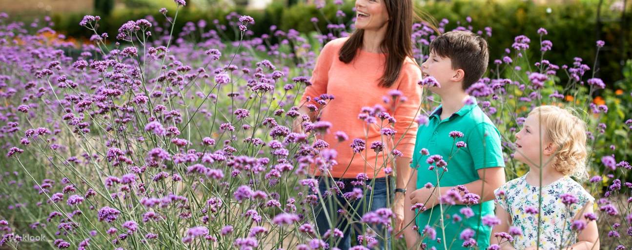 famille au château et jardins de Hillsborough