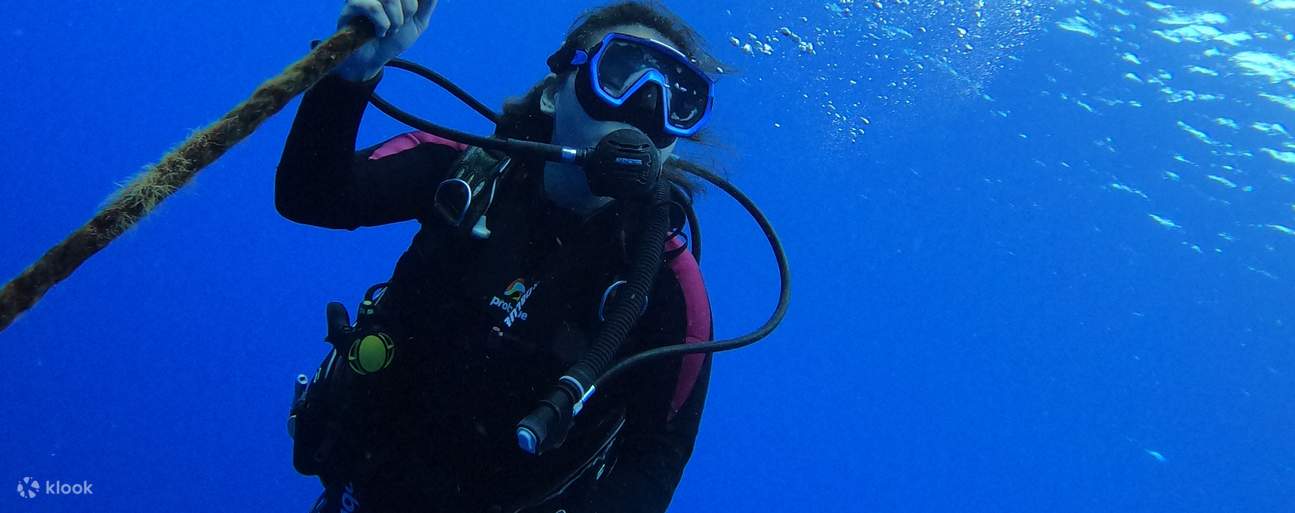 [Grüne Insel Tauchschein] Blue Saphire Tauchen 3 Tage 2 Nächte PADI Advanced Open Water Tauchkurs