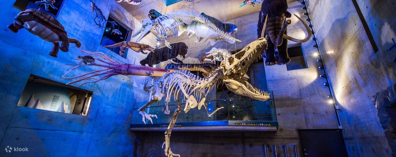 台南左鎮化石園区