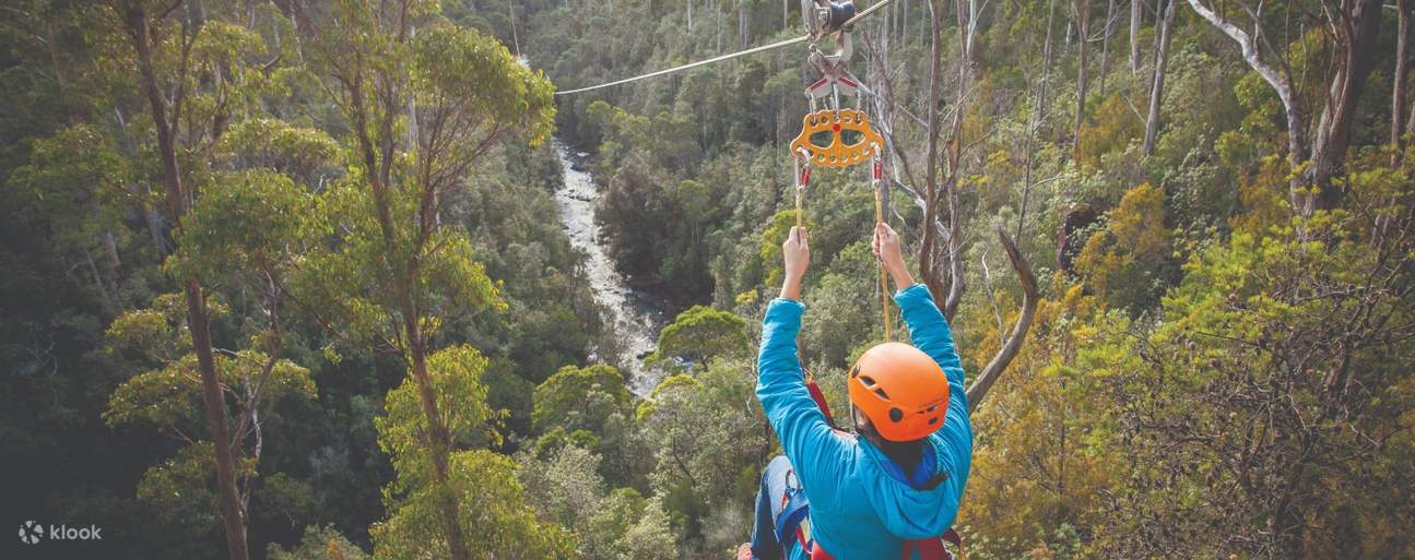 Hollybank Wilderness Adventures in Launceston Klook