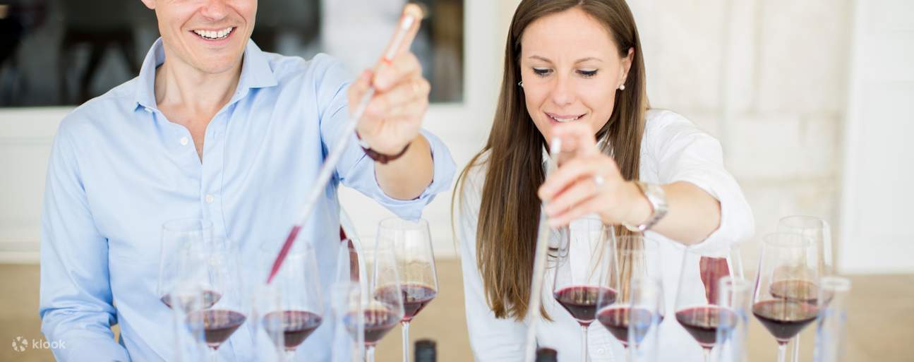 Wine Tasting Experience at Château de Pommard in Burgundy Klook