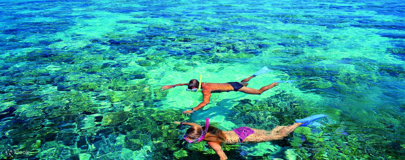 two people snorkeling in Green Island Reef