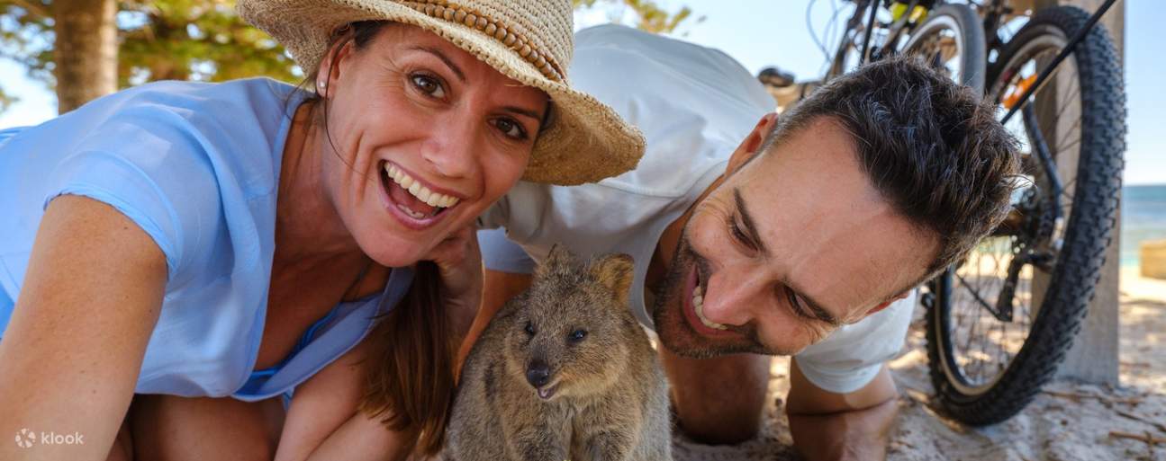 Quokka von Rottnest Island