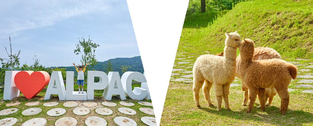 南怡島・プチフランス・イタリア村 バン乗車チケット（ソウル発）