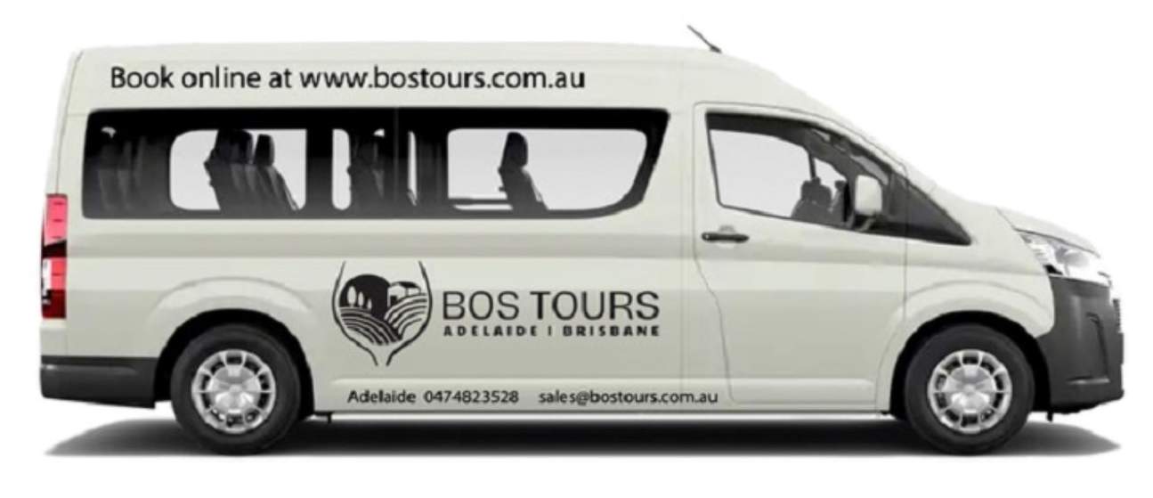 Natural Bridge & Mt Tamborine Glühwürmchen & Regenwald ab Brisbane