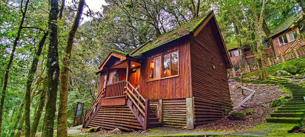 台湾好行 - 889 大雪山线 漫游自然趣 交通套票