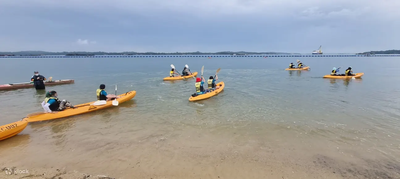 人们在清澈的海面上划皮划艇