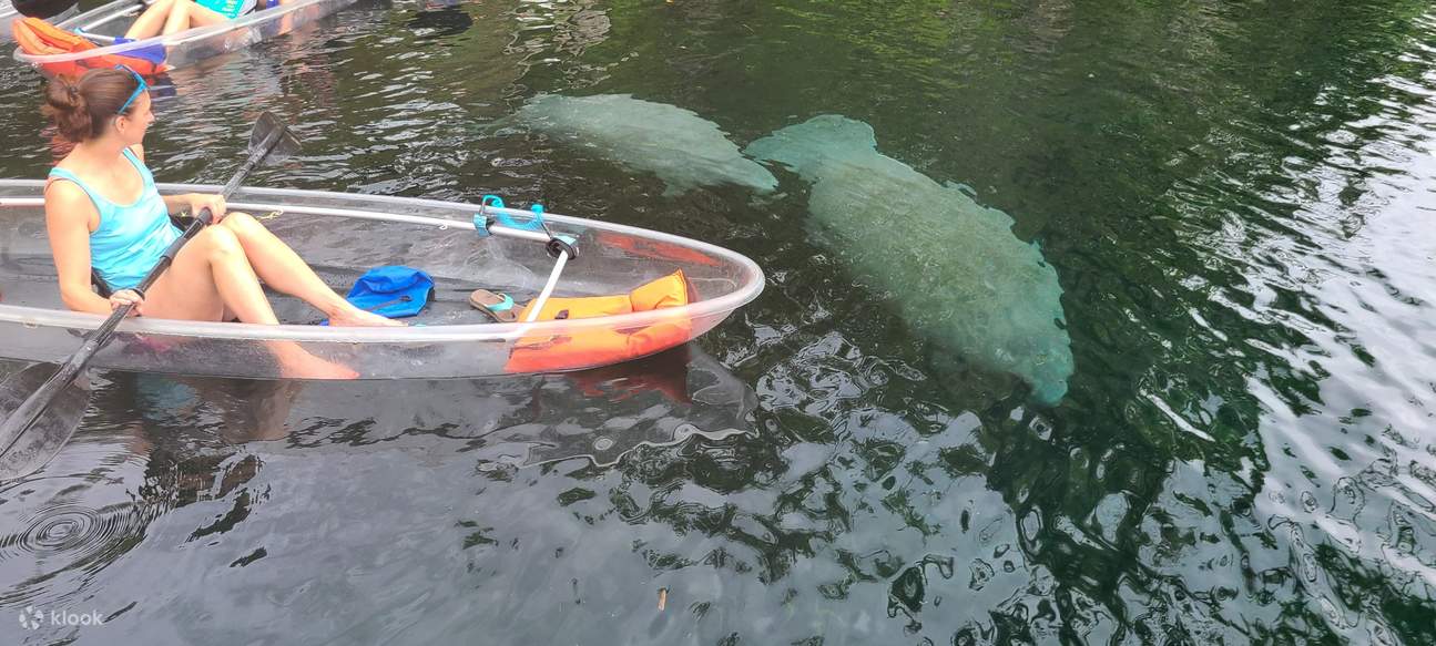 Manatees and Monkeys Clear Kayak or Clear Paddleboard Adventure at S