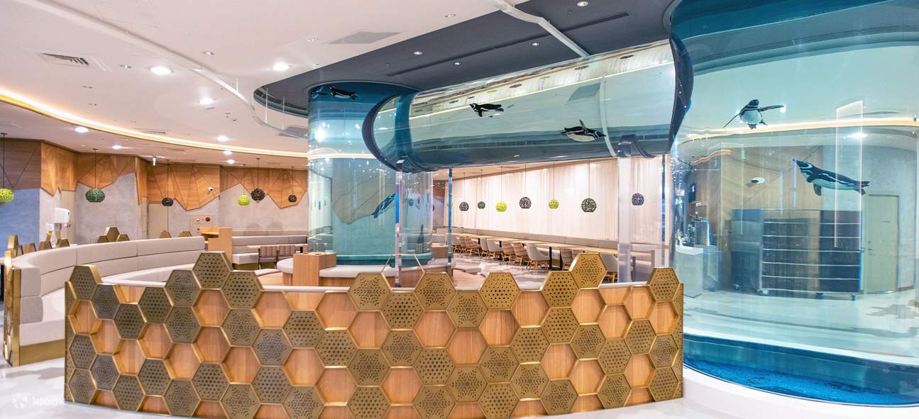 Xpark - Xcafe by PRONTO