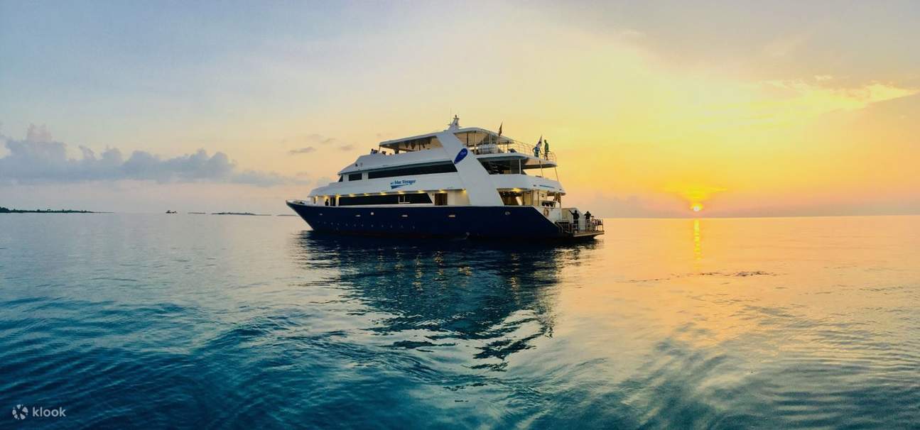 Marsa Alam - Tour đêm nhà cá heo Sataya 