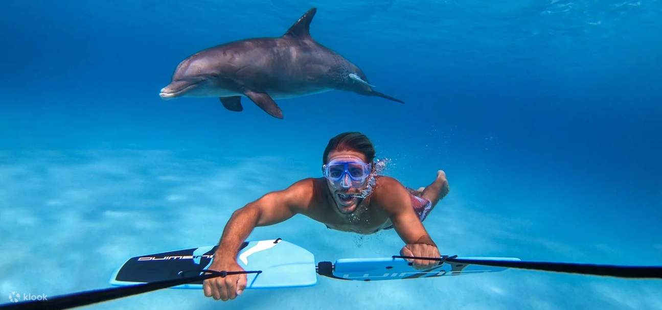 水上スキー＆サブウィング体験（専用送迎付き）－フルガダ