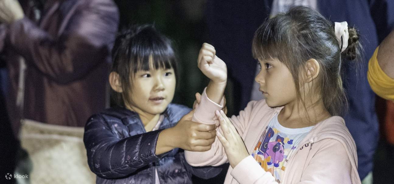 Nantou Xitou: Xitou Ecological Exploration Experience at Night - Klook