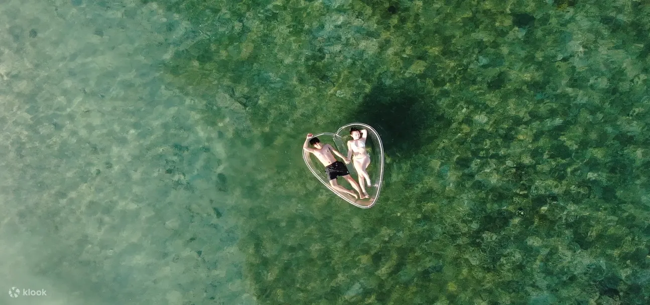 Transparent Aurora Love Boat