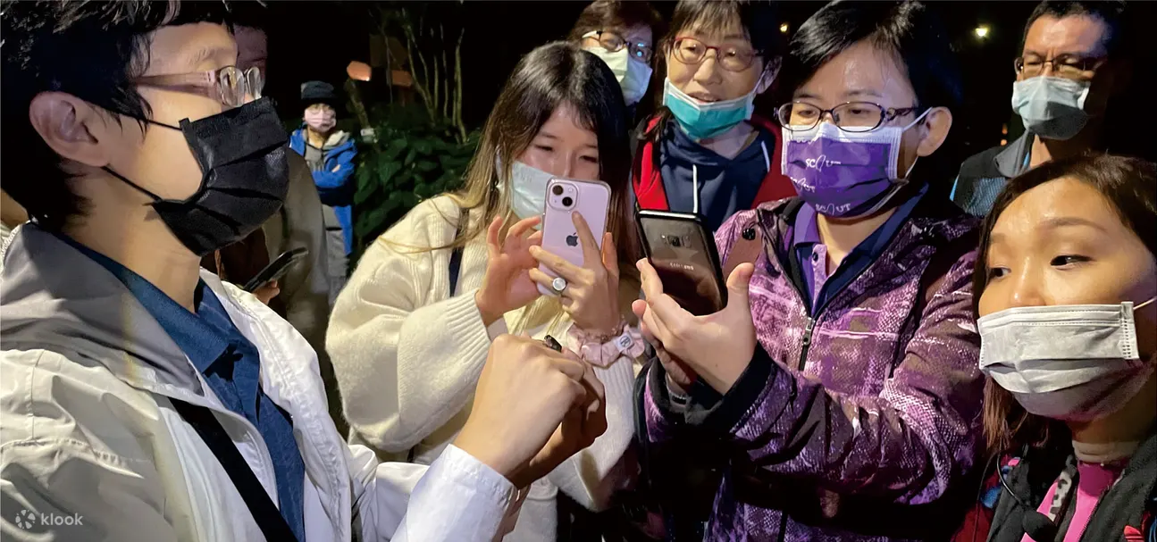 南投溪头: 溪头夜间生态探索体验