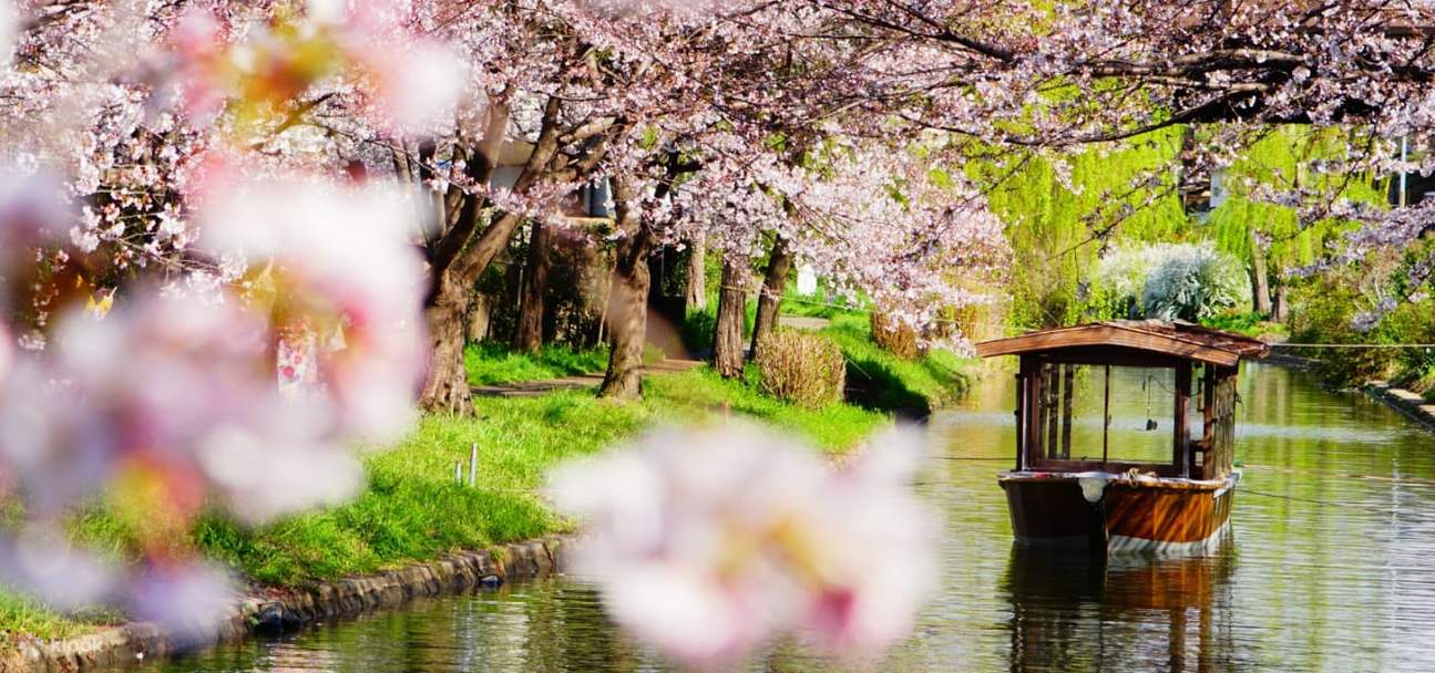 Kyoto Day Tour dengan Pemandu Wisata Lokal dari Osaka Port Klook