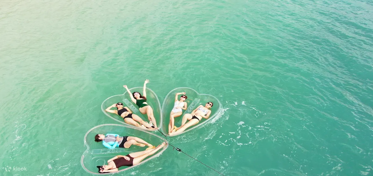 Transparent Aurora Love Boat