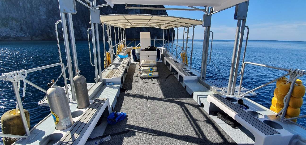 Ulleung Hakpo Beach Boat Tour