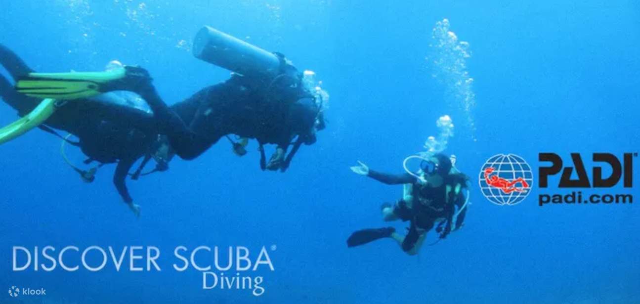 PADI Discover Scuba Diving