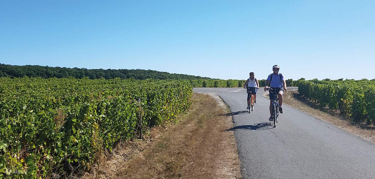 Loire Valley Ebike tour to Chambord FROM BLOIS Klook Hong Kong