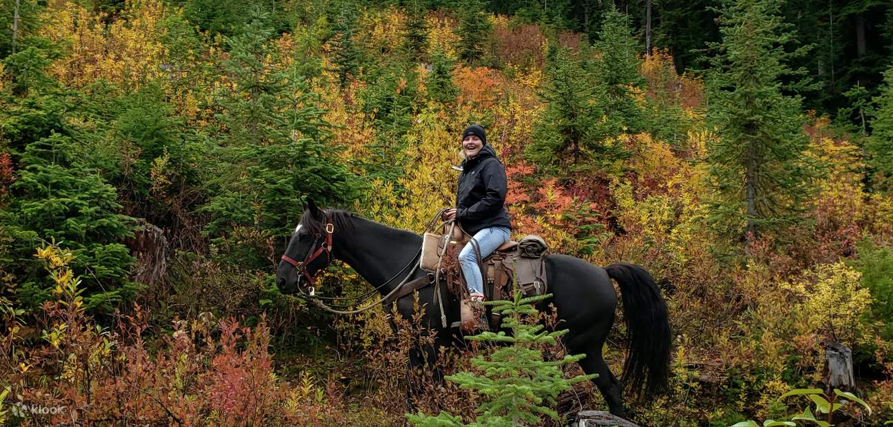OneHour Pemberton Valley Horseback Riding Experience Klook Canada