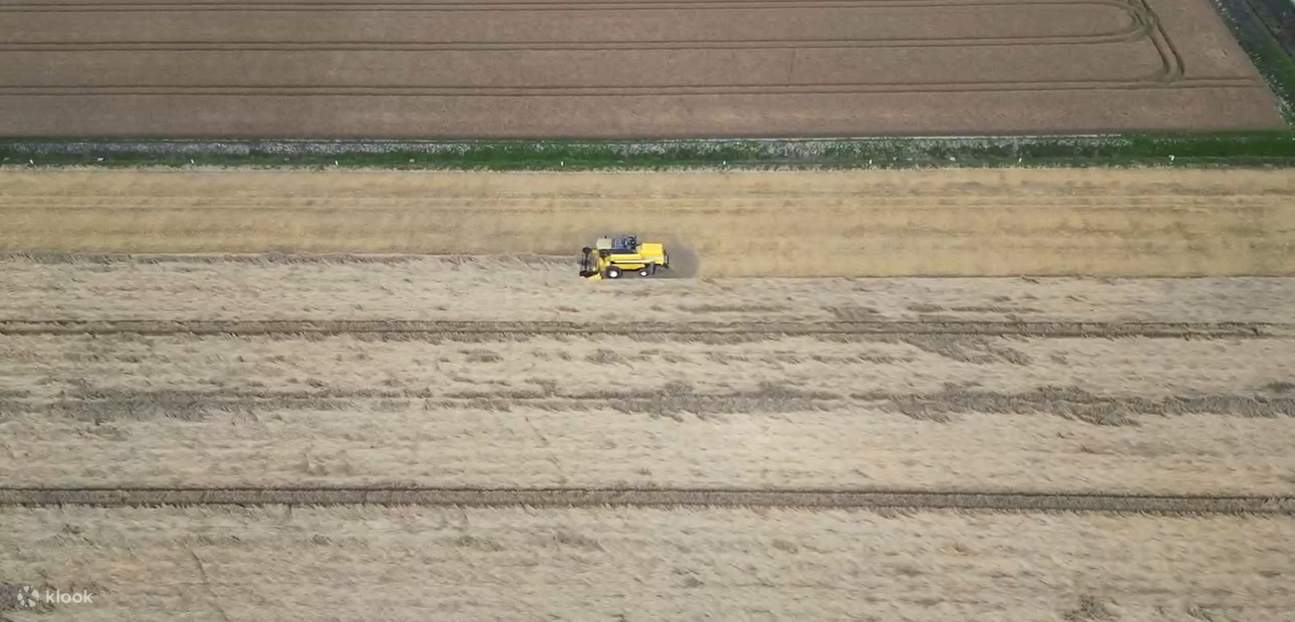 Pengalaman uji coba drone pemandangan pedesaan dan piknik pedesaan di Nanporo