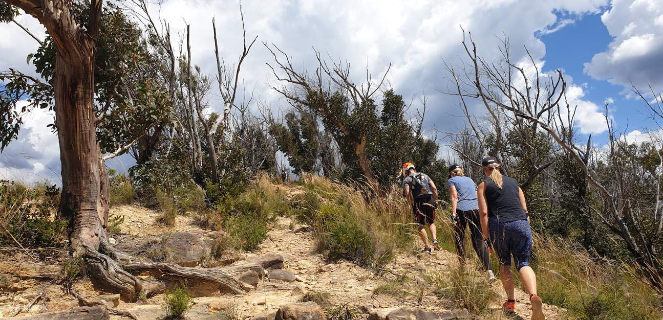 Hanging Rock Blue Mountains Guided Electric Bike Tour by Blue Mountains