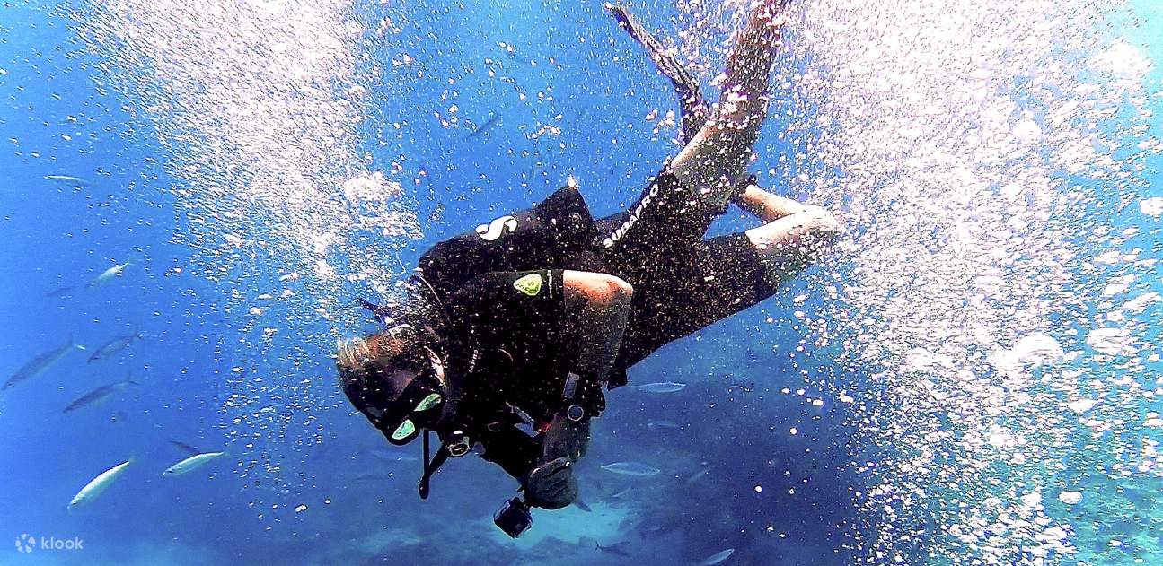 PADI Open Water Diver [eLearning]